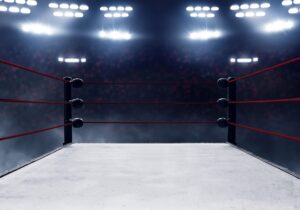 Professional,Boxing,Ring | WordPress.com vs WP Engine Dispute | | Site Hub