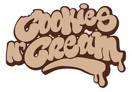 download | Web Design & Marketing Agency In Rochester NY | | Site Hub